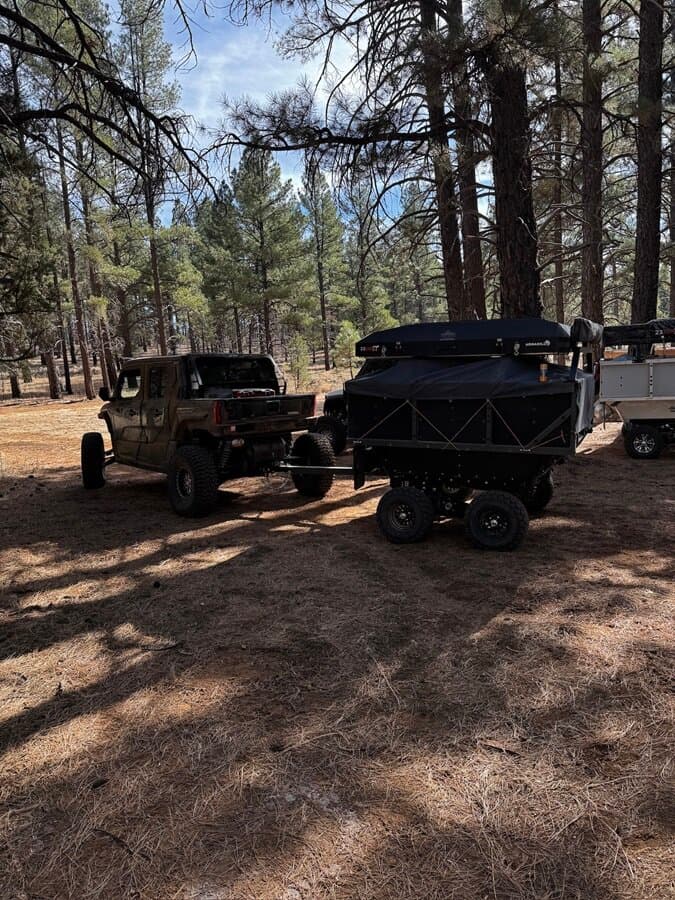Camp Mansion rooftop build tucked into a high-country pine campsite