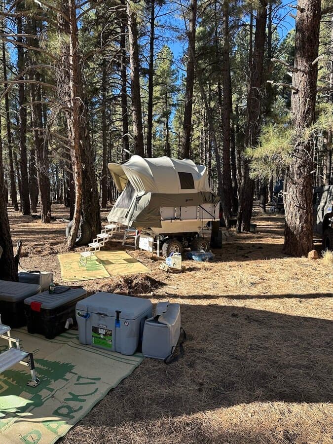 Conestoga Camper standing alone in a pine forest